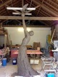 Clay enlargement of bronze sculpture Speak to us of Freedom. Tall, slim woman, hands stretching upwards with Dove of Peace.