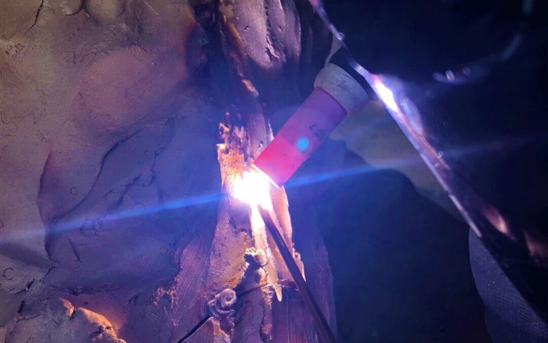 Speak to us of Freedom – Assembly begins