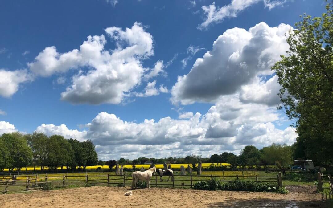 Come Rain, Come Shine