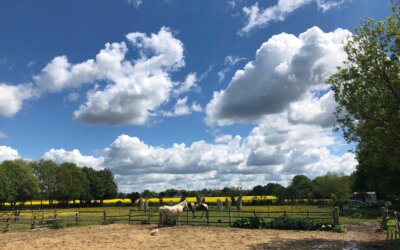 Come Rain, Come Shine